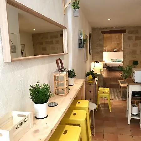 Super T2 - Historic Center - Idealement Situe Apartment