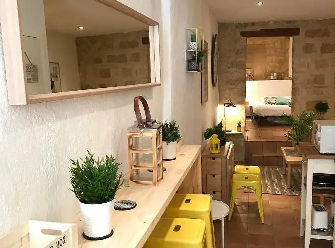 Super T2 - Historic Center - Idealement Situe Apartment